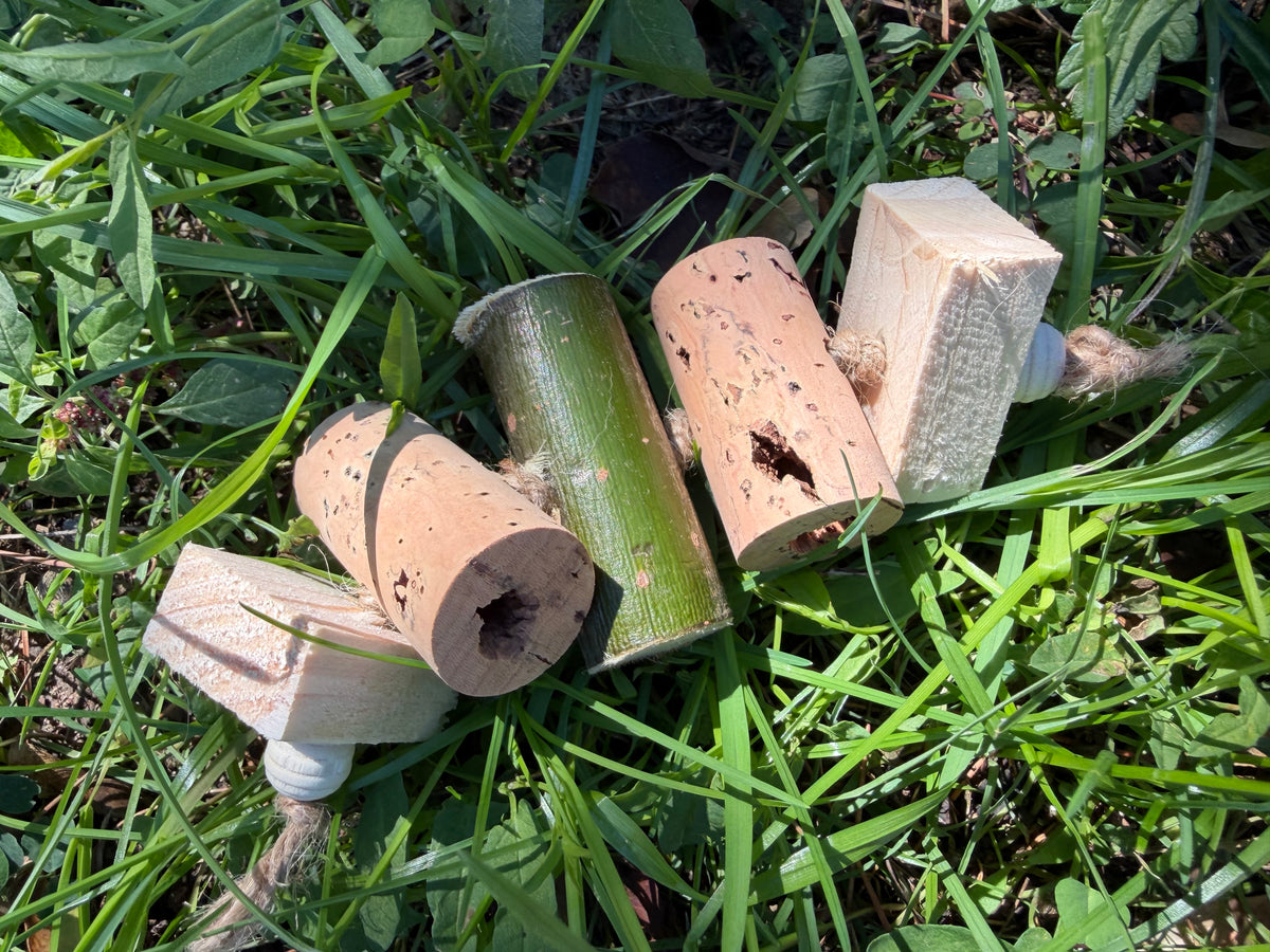CORK & SEEK - gioco da piede per foraggiamento