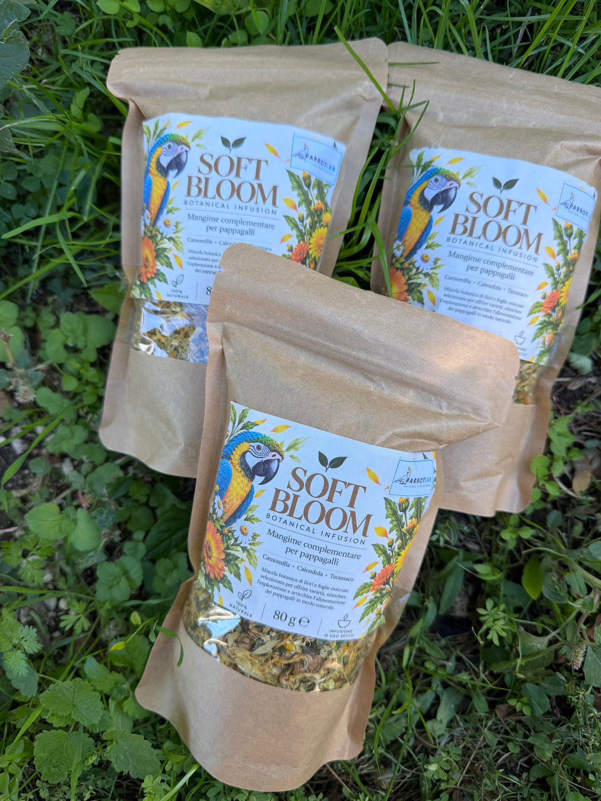 Soft Bloom - Botanical Infusion