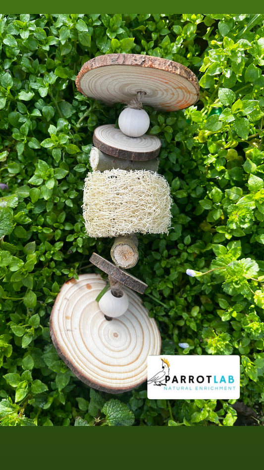Luffa medium