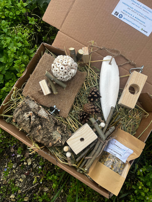 Advance Foraging Pack