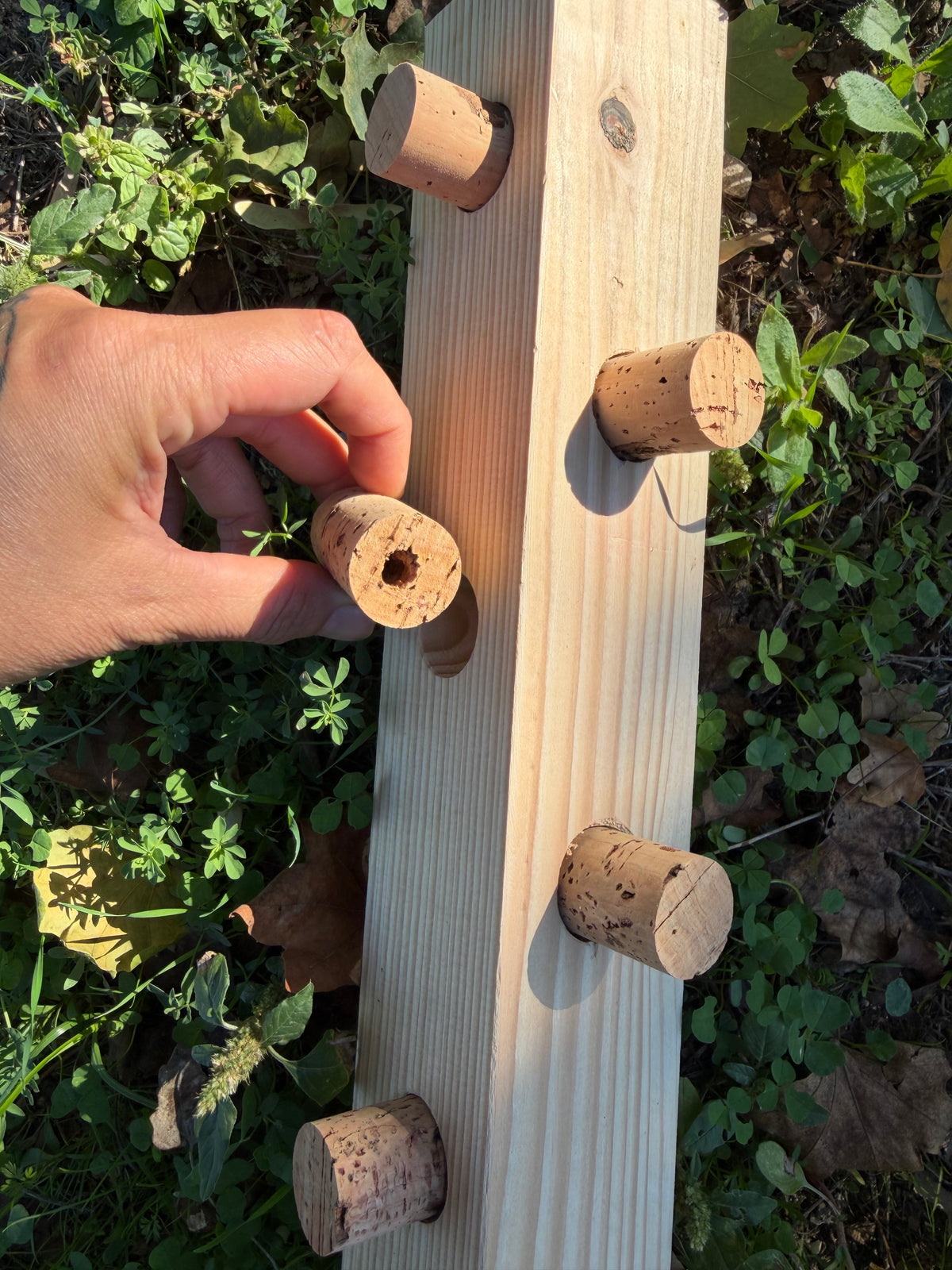 CORK PUZZLE MAXI – Foraging Block per grandi pappagalli