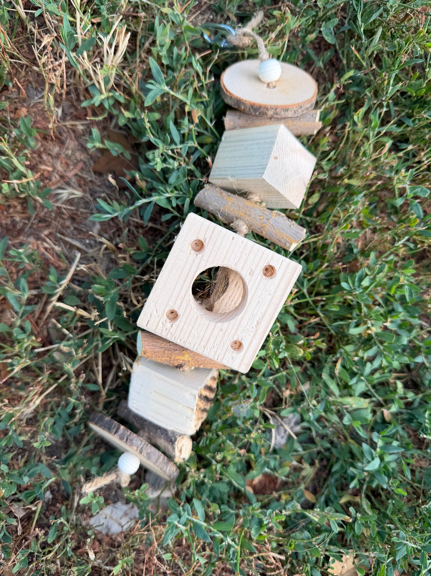 Foraging cube