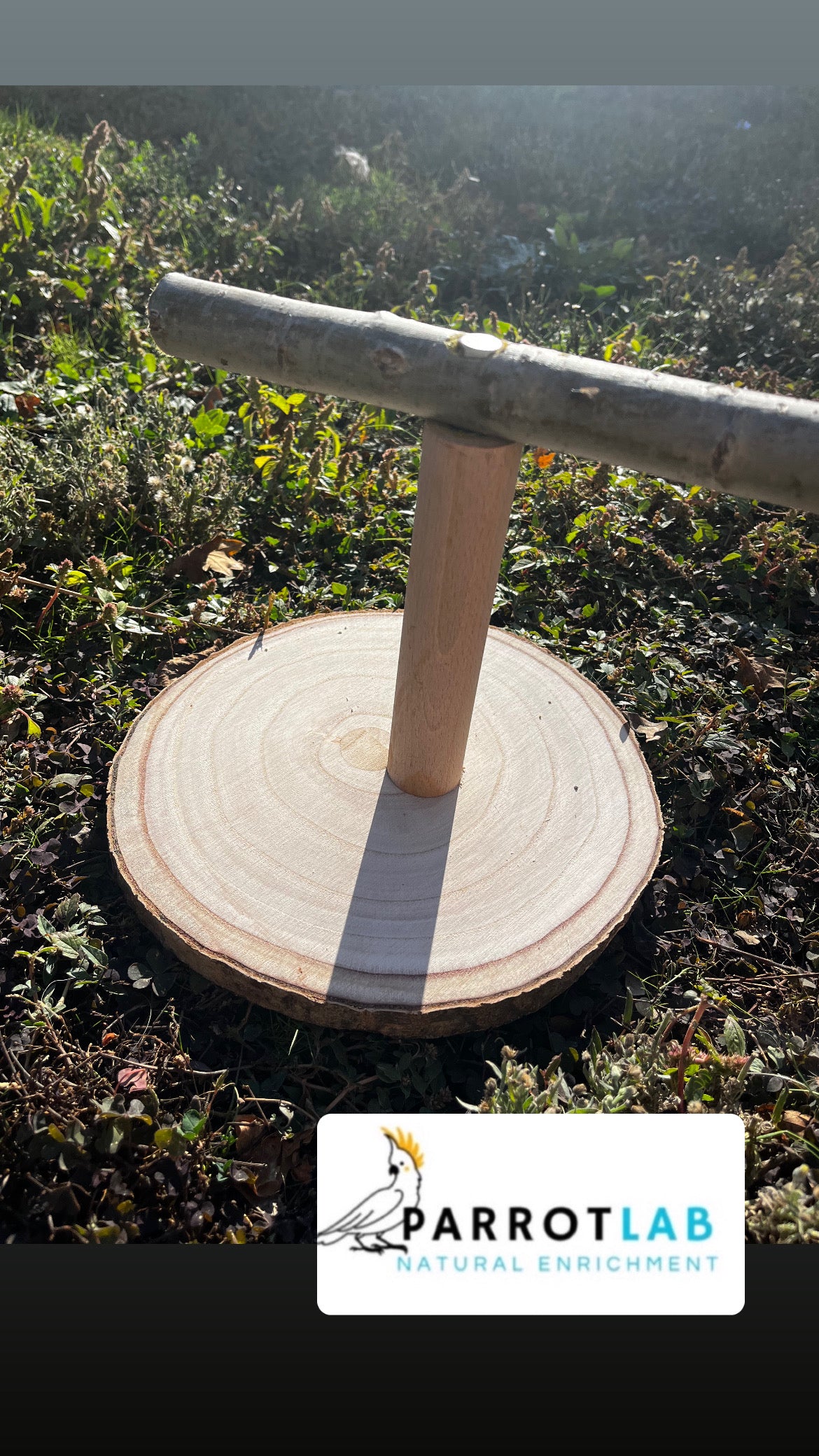 Trespolo da tavolo per pappagalli di taglia grande e media