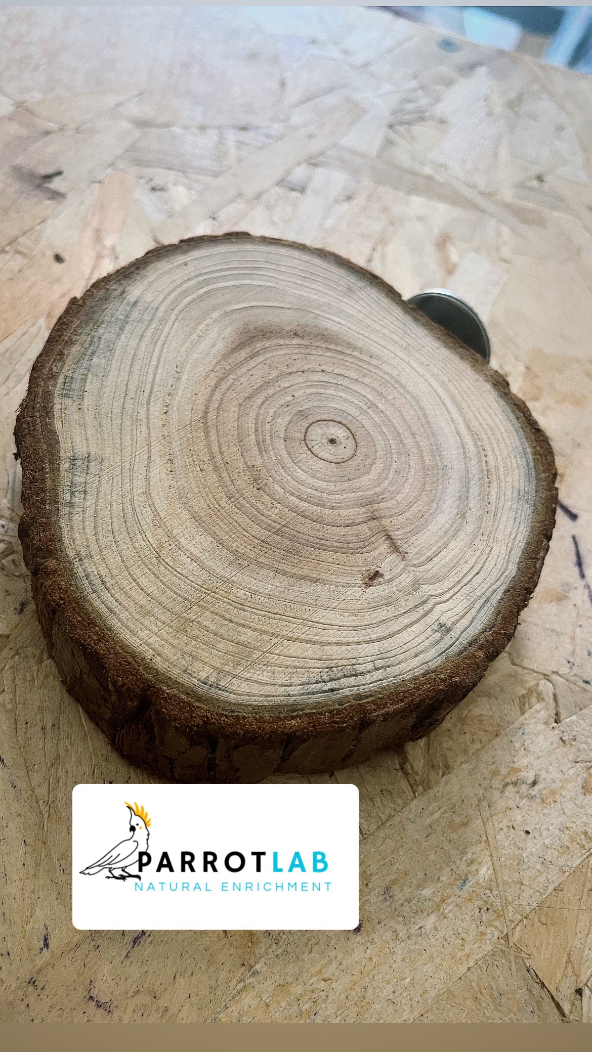Posatoio piatto con corteccia