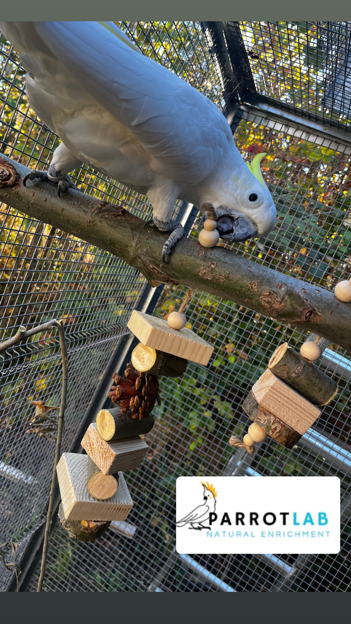 Trespolo Nature Maxi con gioco