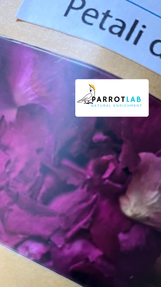 Petali di rosa essiccati