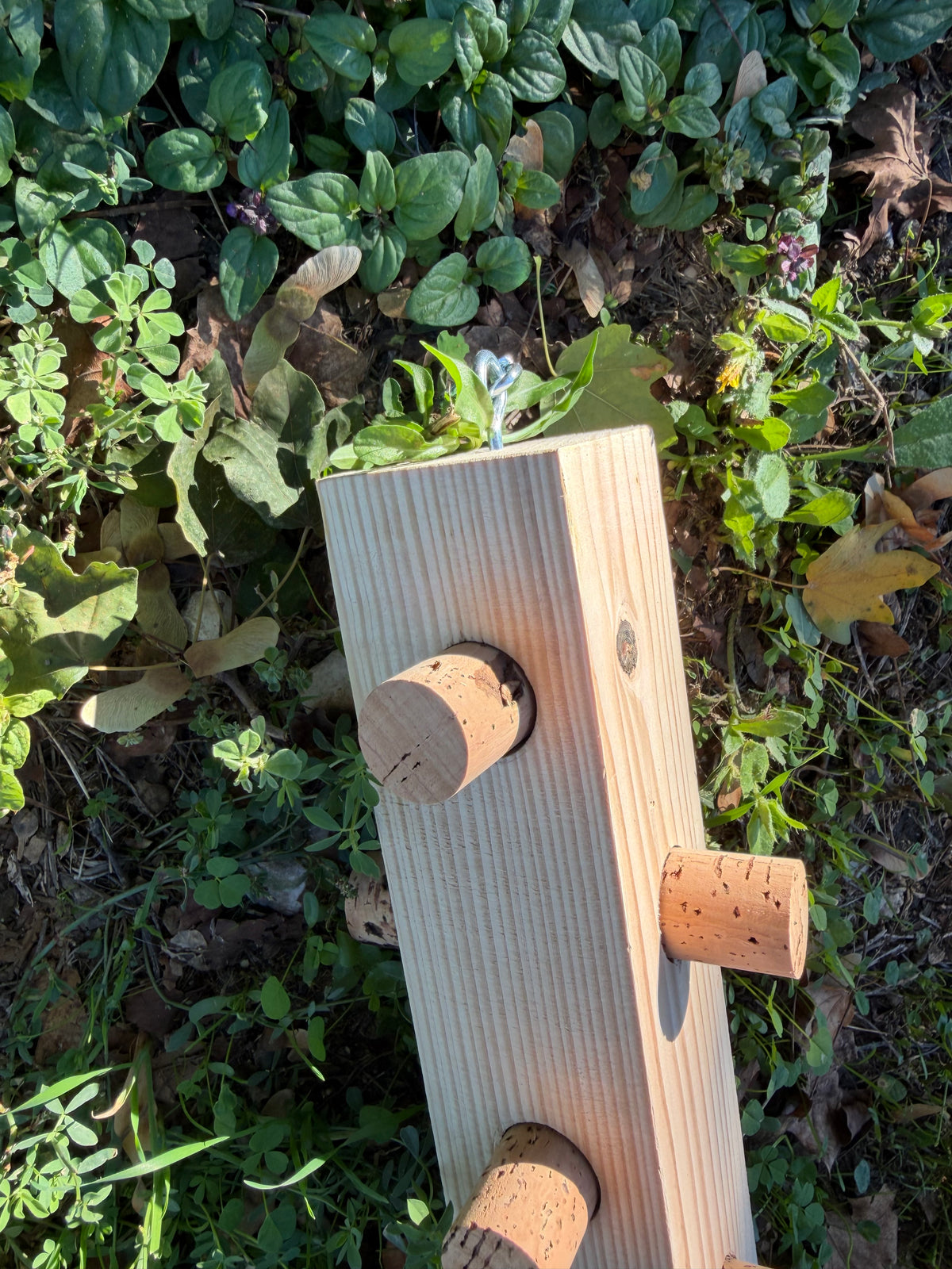 CORK PUZZLE MAXI – Foraging Block per grandi pappagalli
