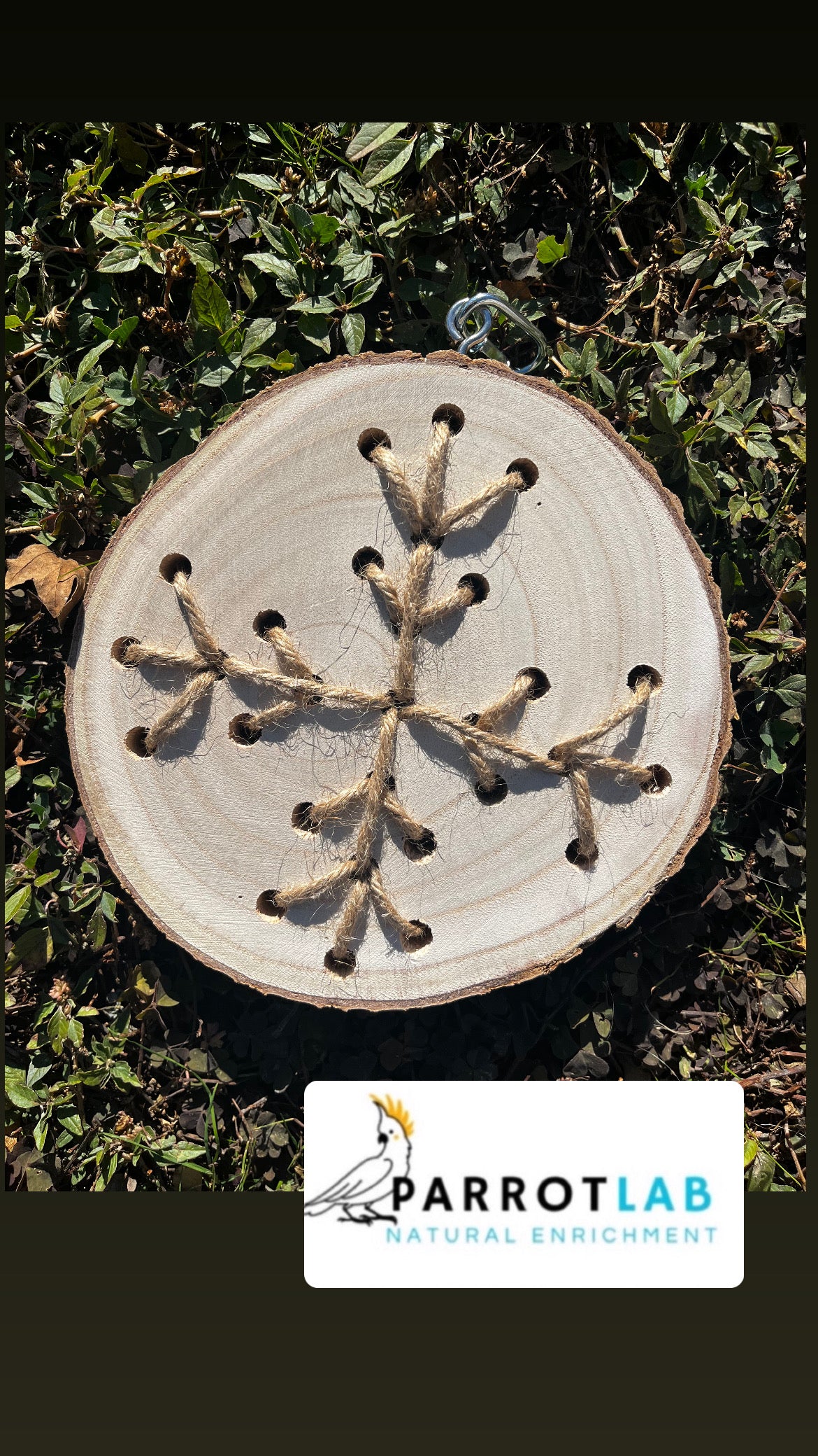 Disco Nature - fiocco di neve