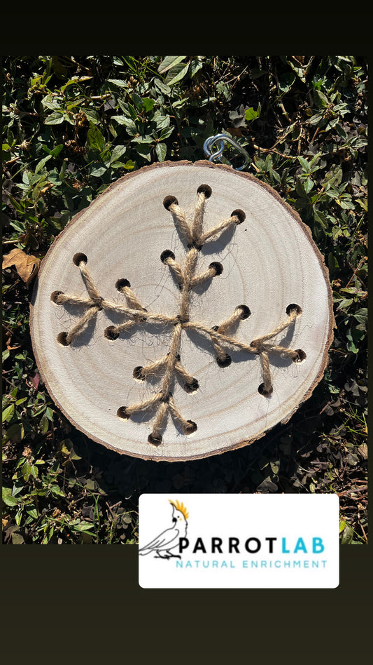 Disco Nature - fiocco di neve