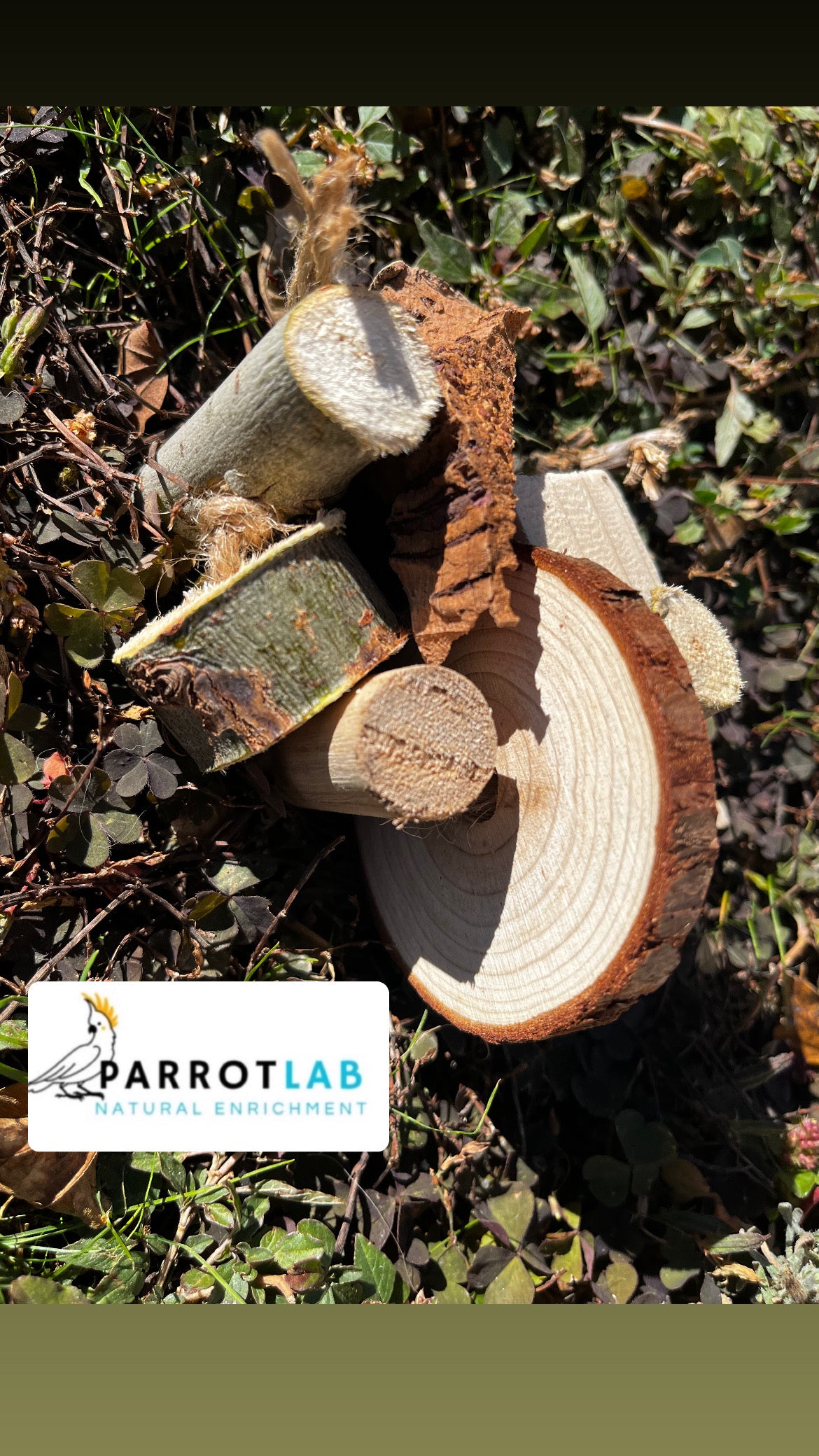 Nature - gioco da piede