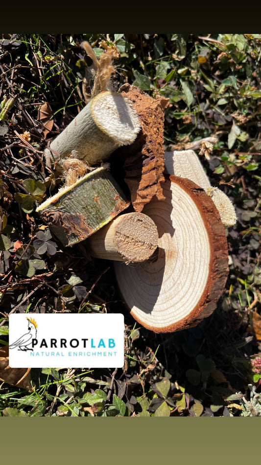 Nature - gioco da piede