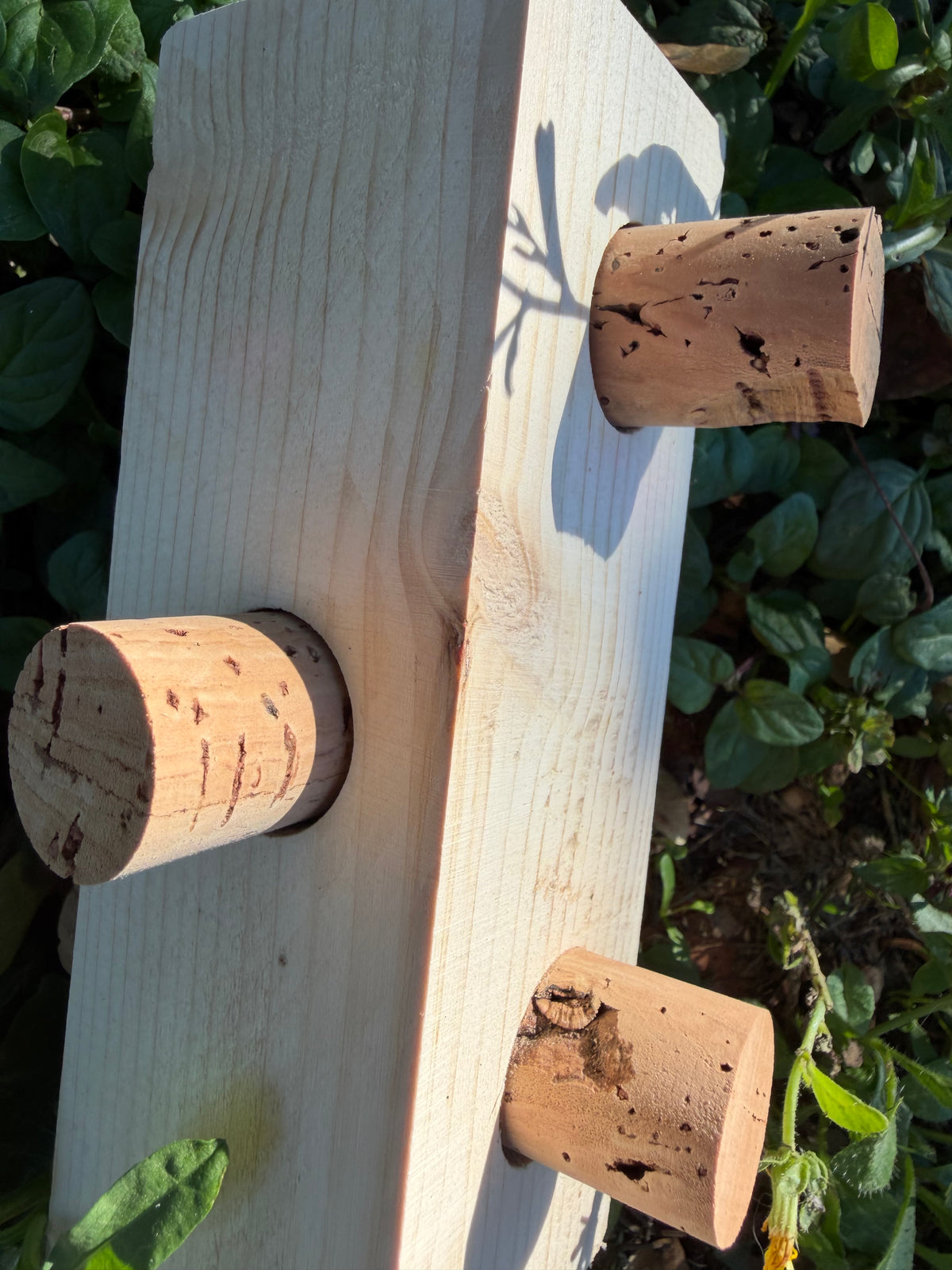 CORK PUZZLE – Foraging Block