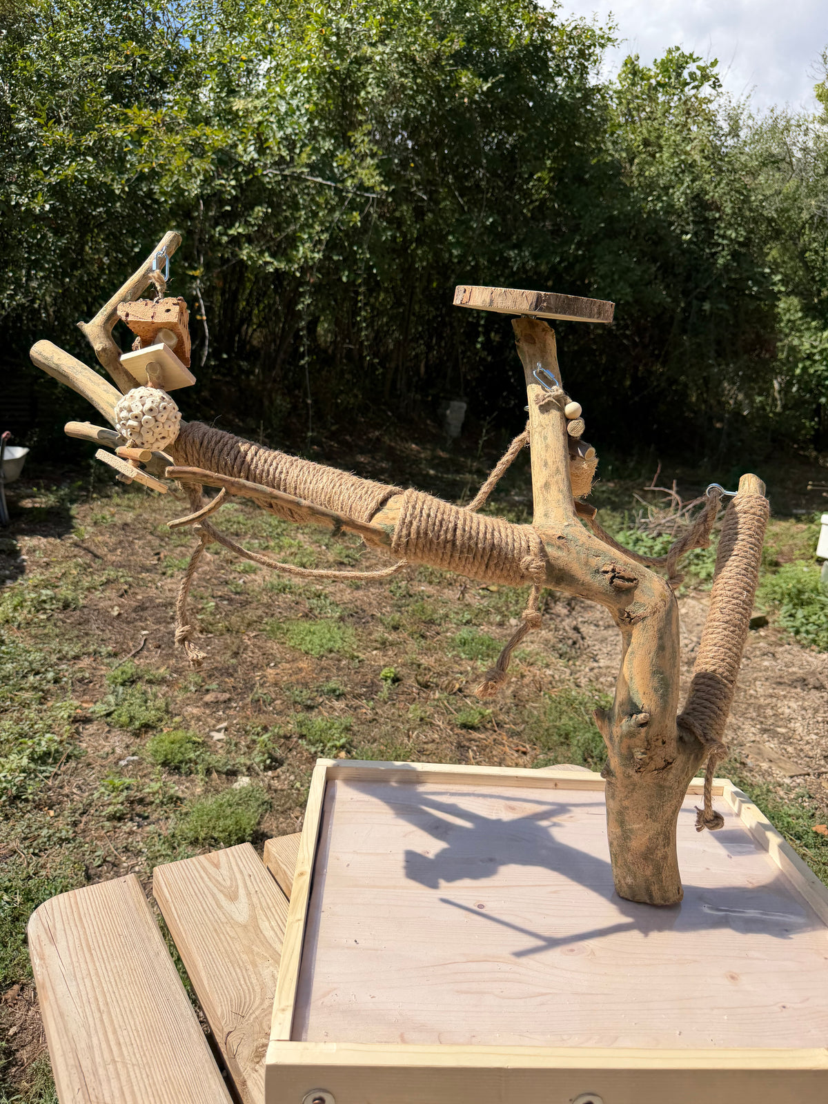 Parrot Playground da Tavolo