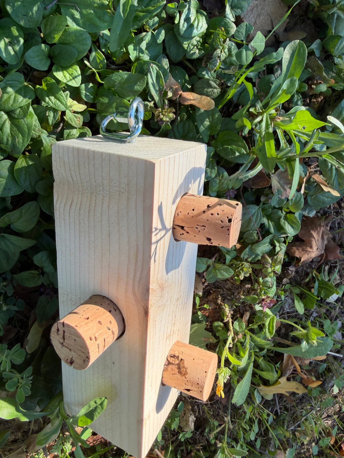 CORK PUZZLE – Foraging Block