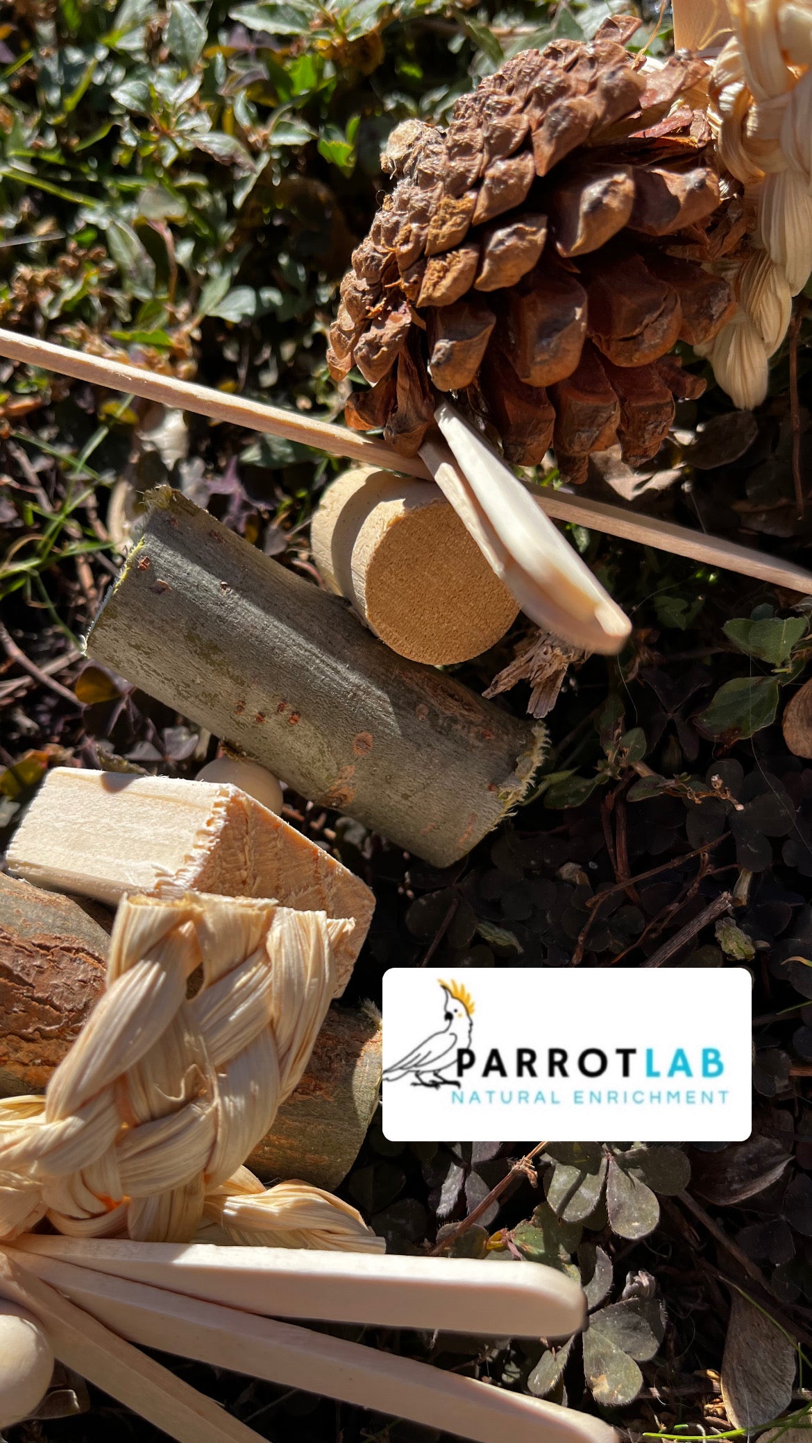 Nature chew little - pappagalli taglia piccola