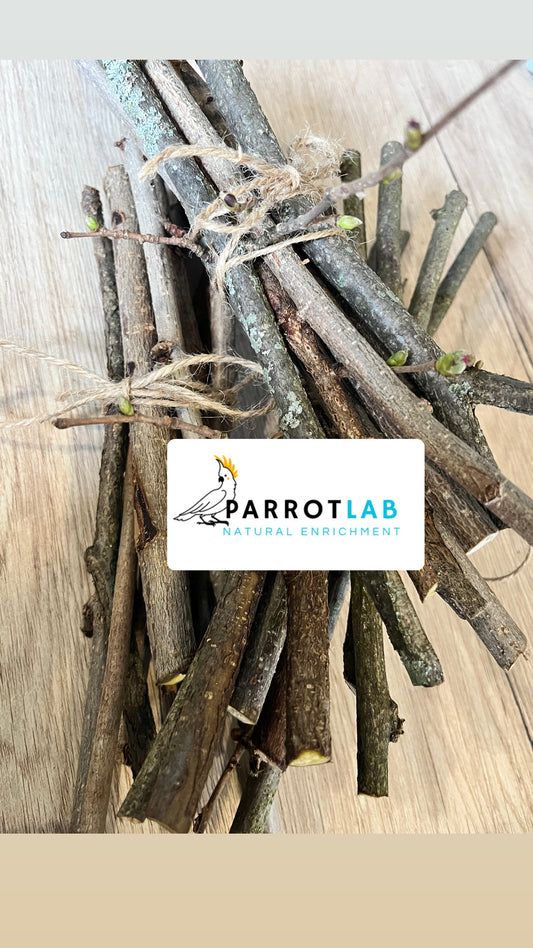 Stick di Nocciolo