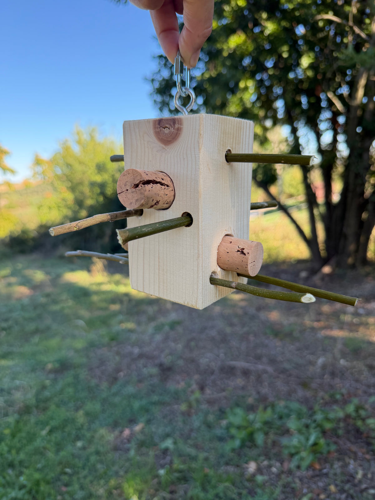 WILD BOX – Foraging & Problem Solving