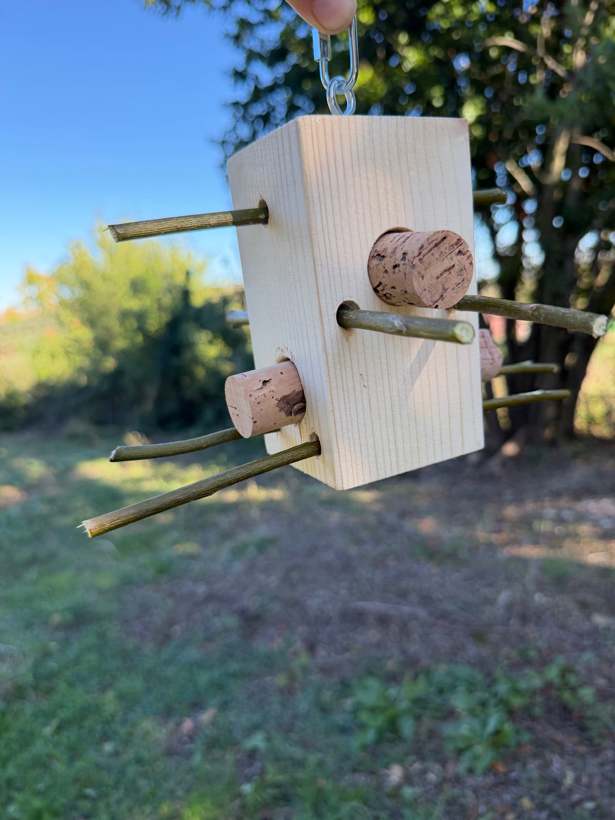 WILD BOX – Foraging & Problem Solving
