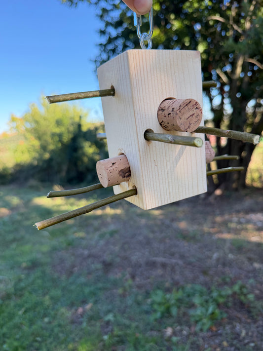 WILD BOX – Foraging & Problem Solving