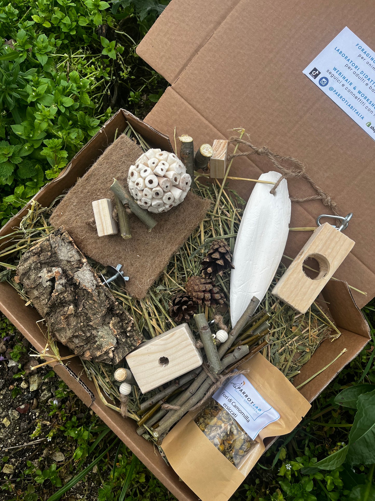 Advance Foraging Pack