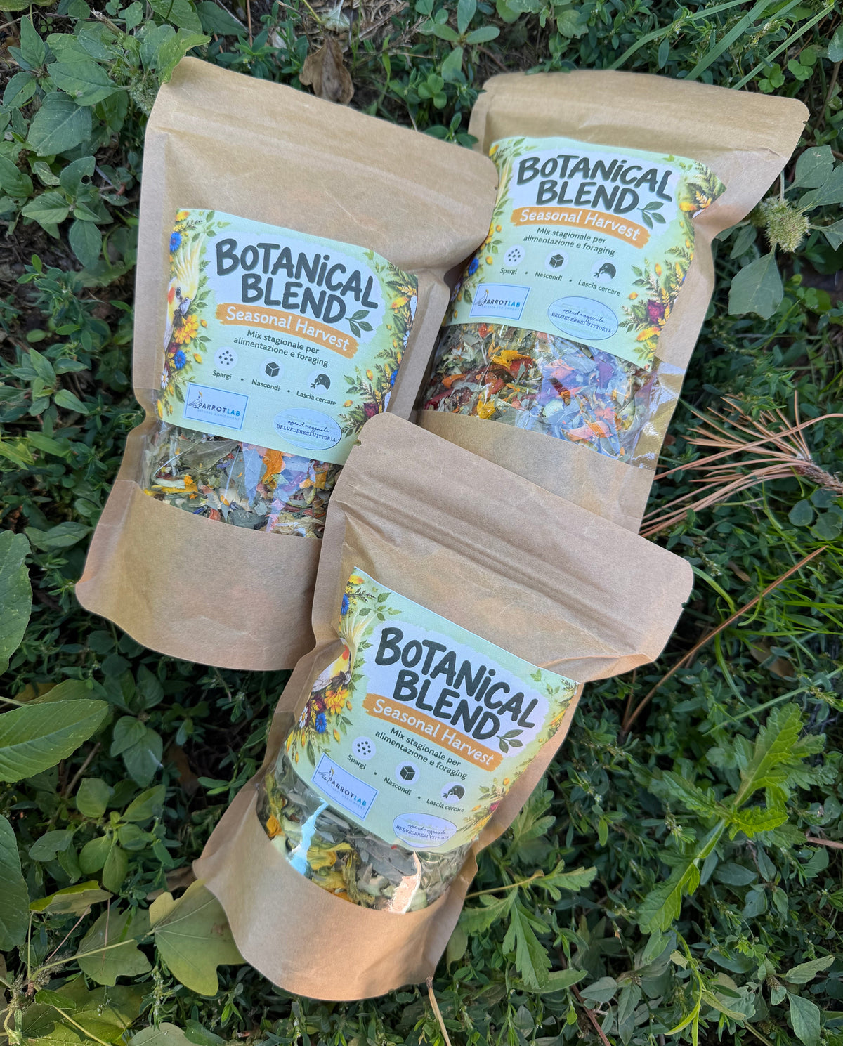 Botanical Blend – Seasonal Harvest