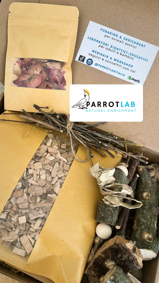Foraging Starter Pack
