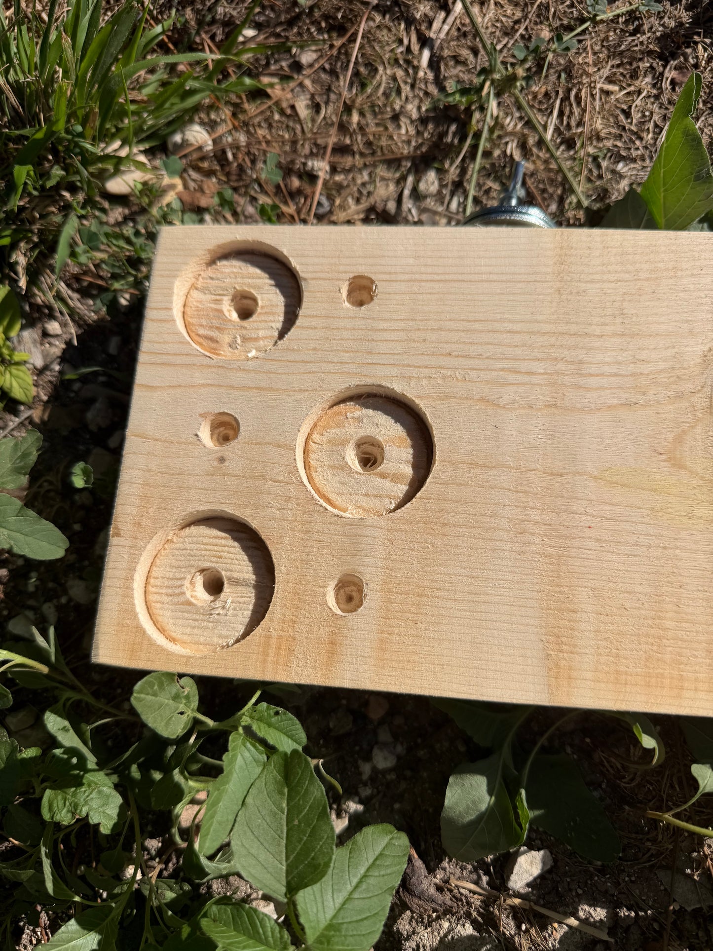 Foraging Board