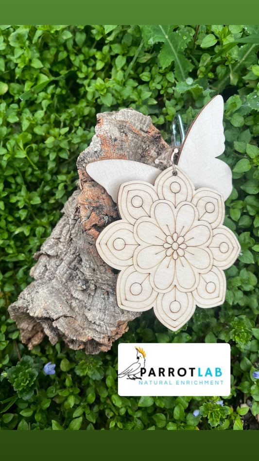 Sughero da appendere