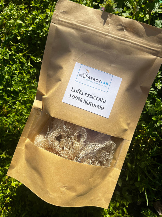 Luffa essiccata 100% naturale