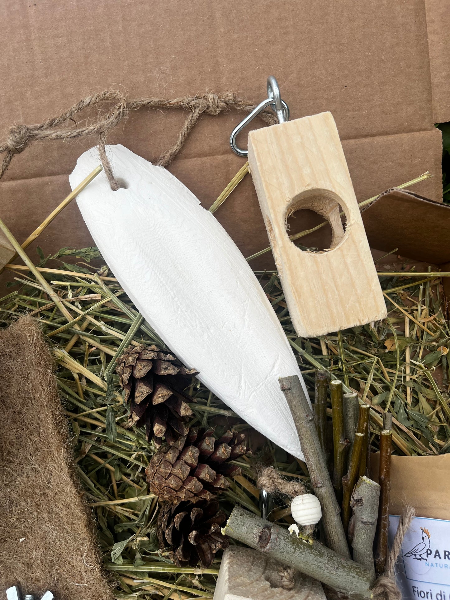 Advance Foraging Pack
