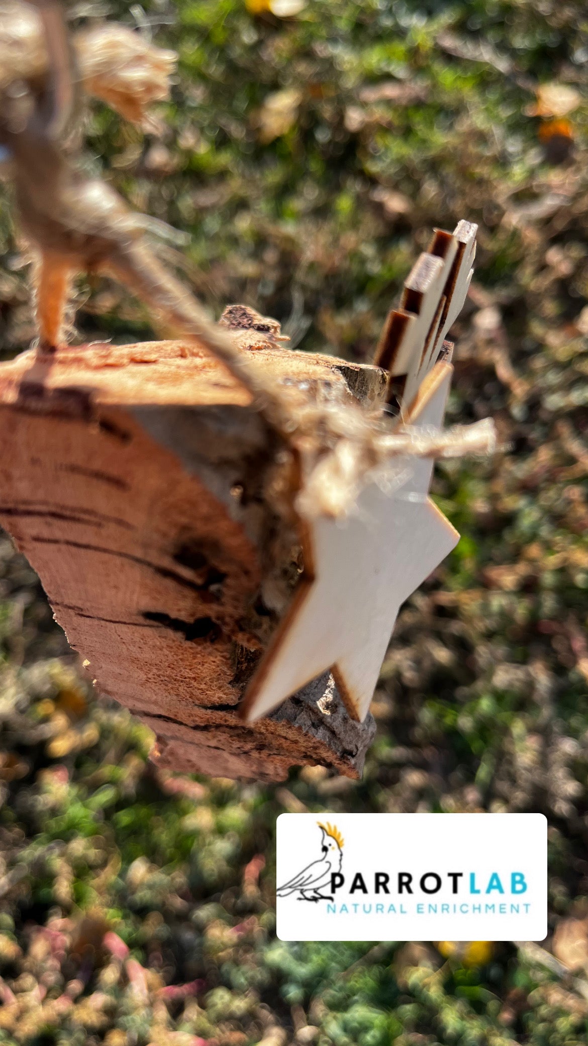 Sughero da appendere