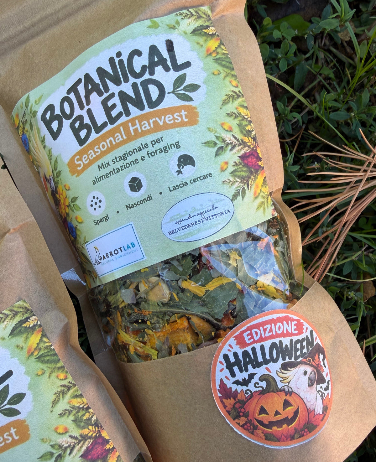 Botanical Blend – Seasonal Harvest | Halloween Edition 🎃