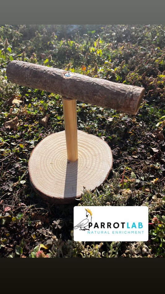 Trespolo da tavolo per pappagalli di taglia media e piccola