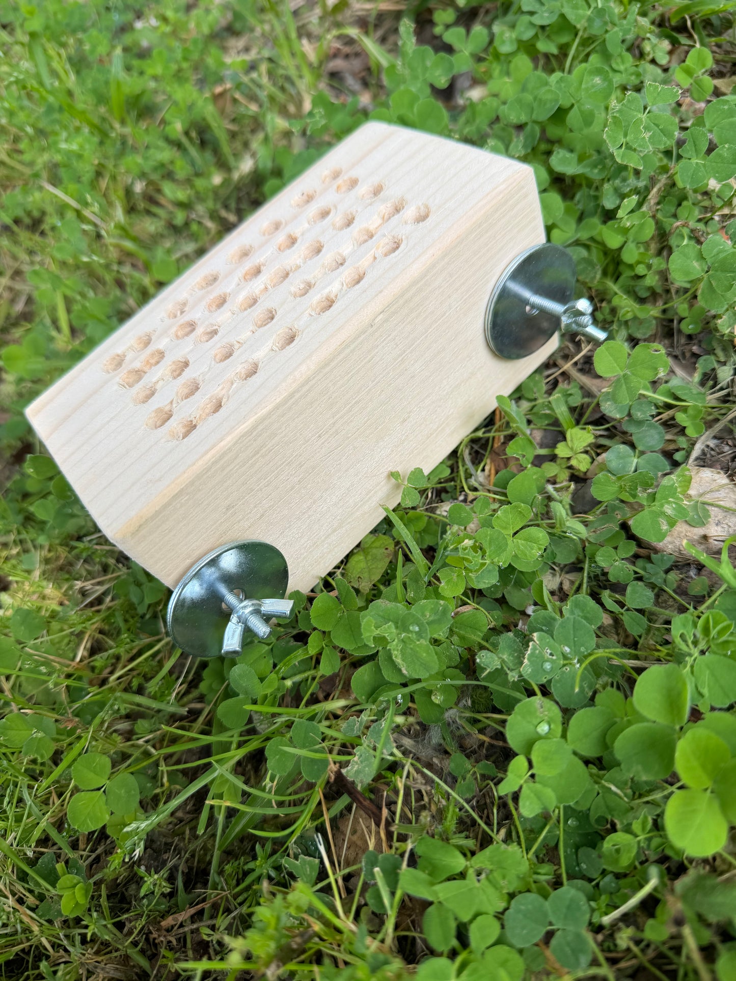 Party wood