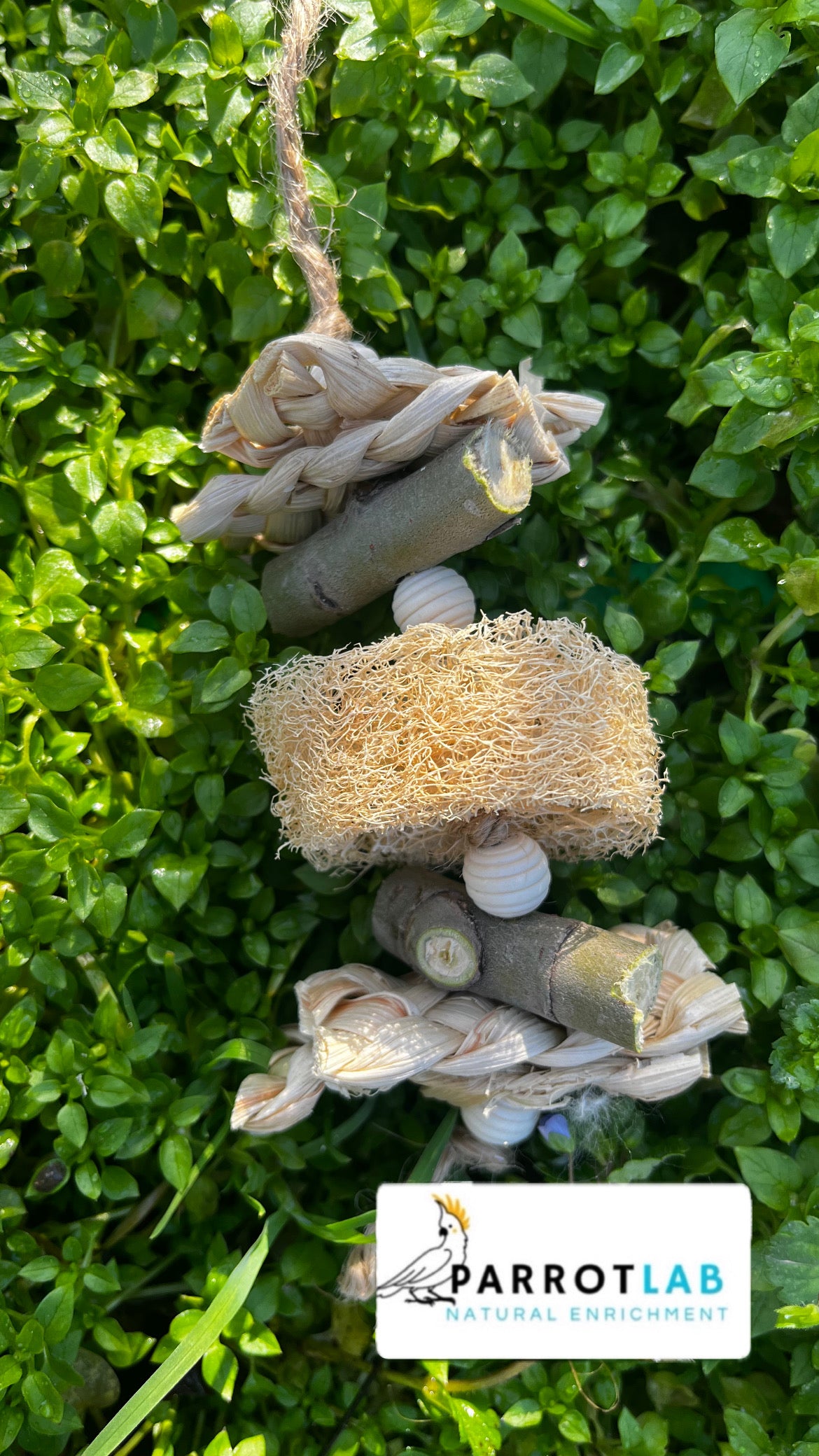 Mini Luffa