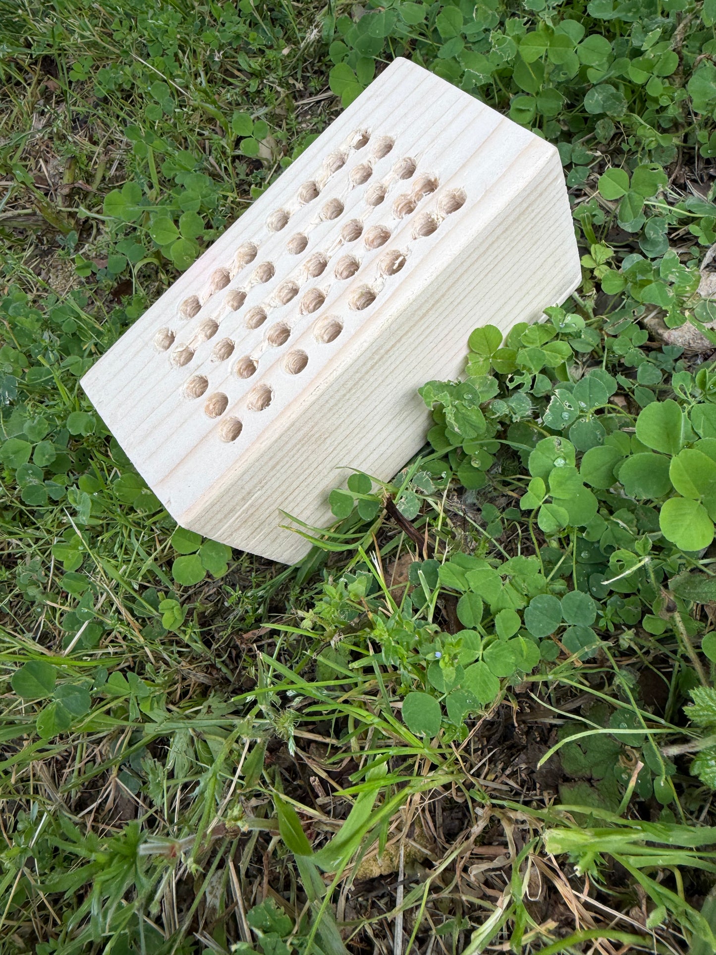 Party wood