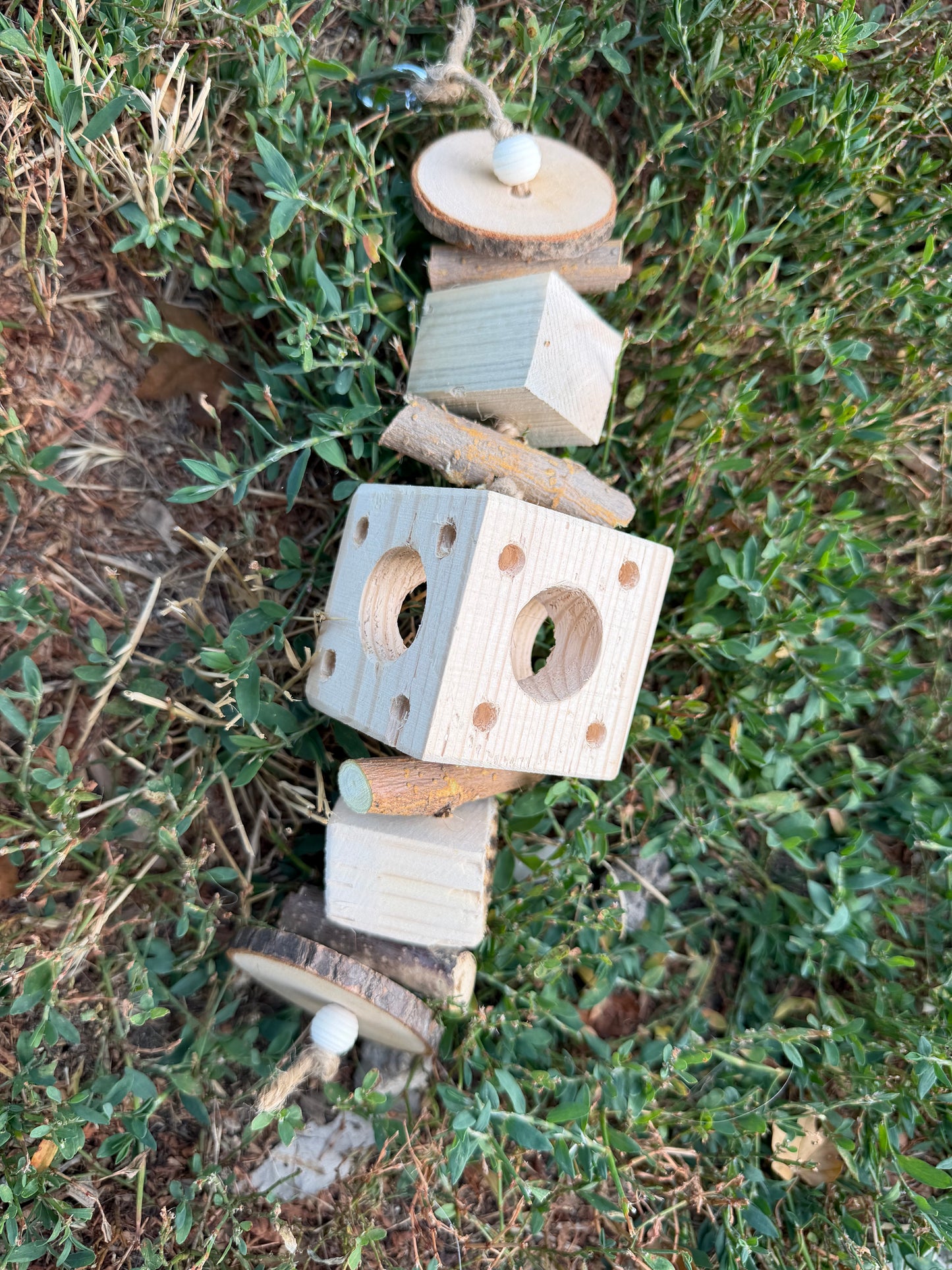 Foraging cube