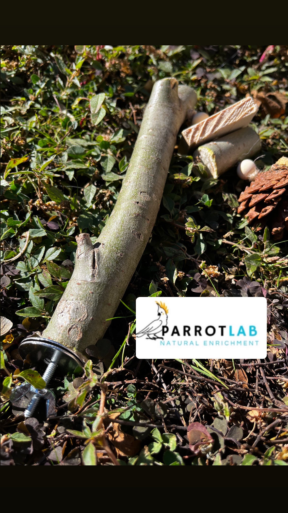 Trespolo Nature in eucalipto con gioco