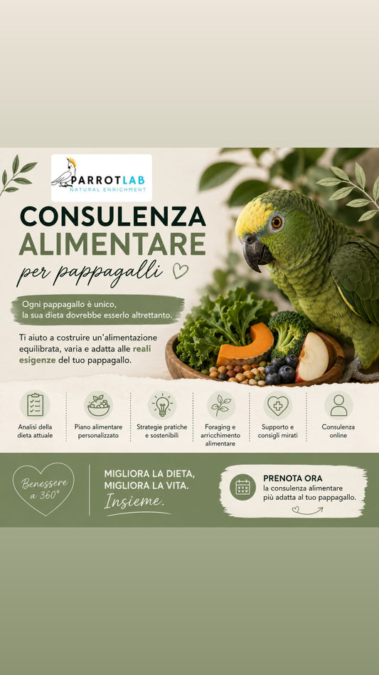 Consulenze alimentari personalizzata per pappagalli