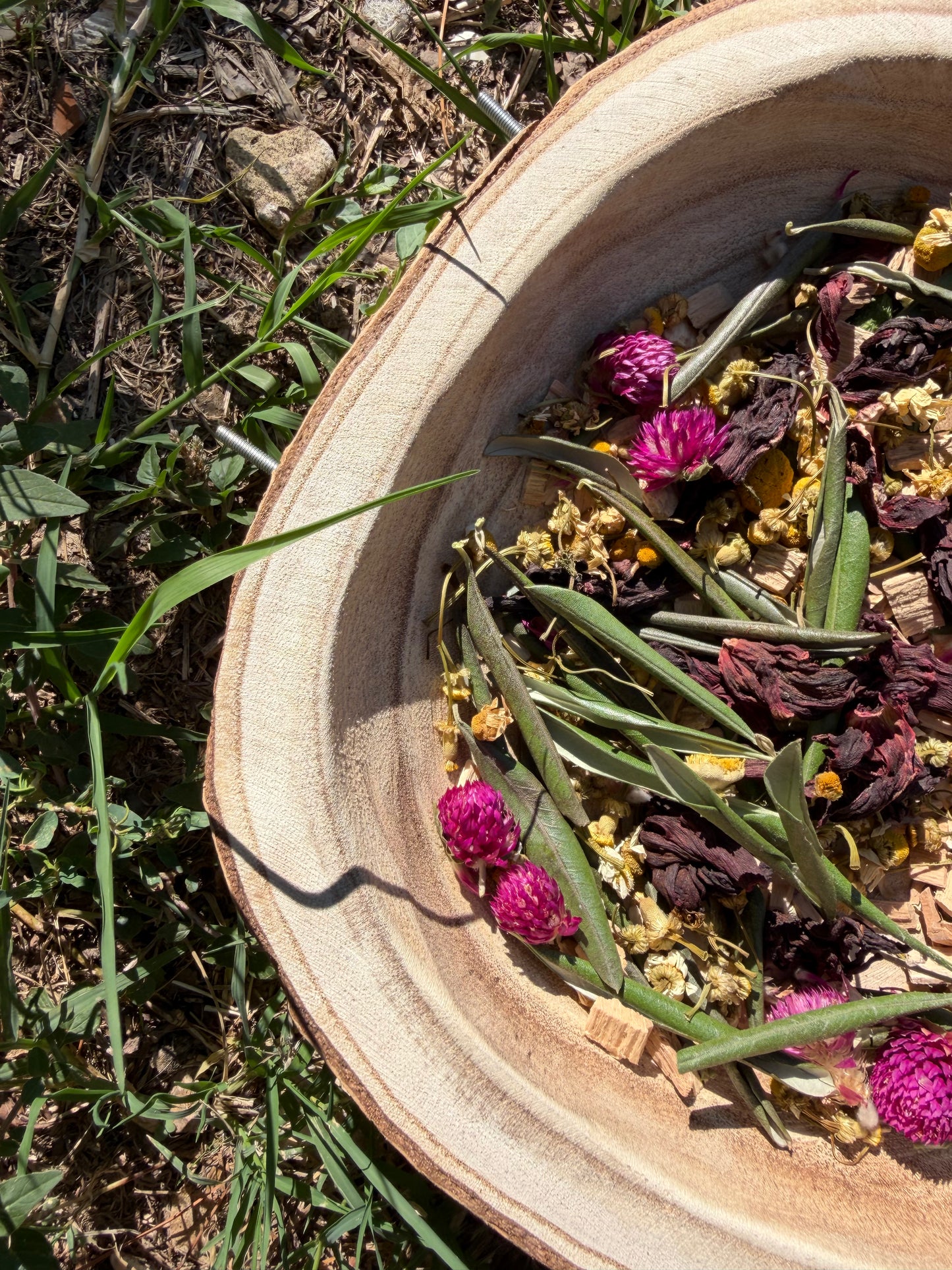 Foraging Bowl Big