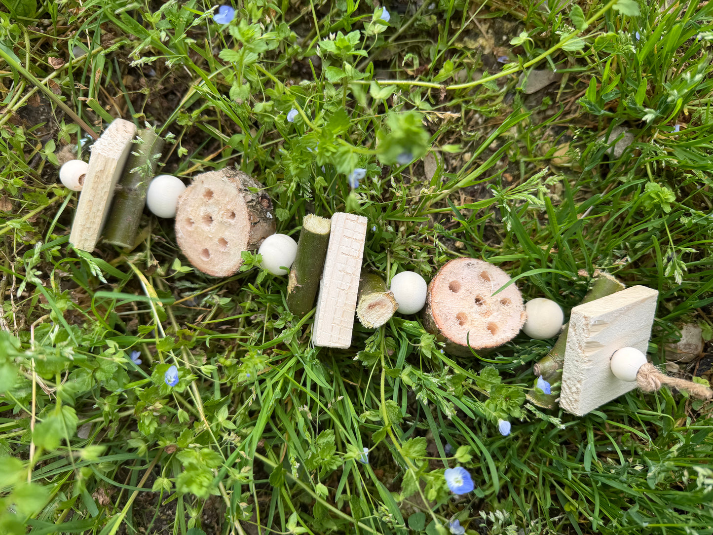 Foraging twist