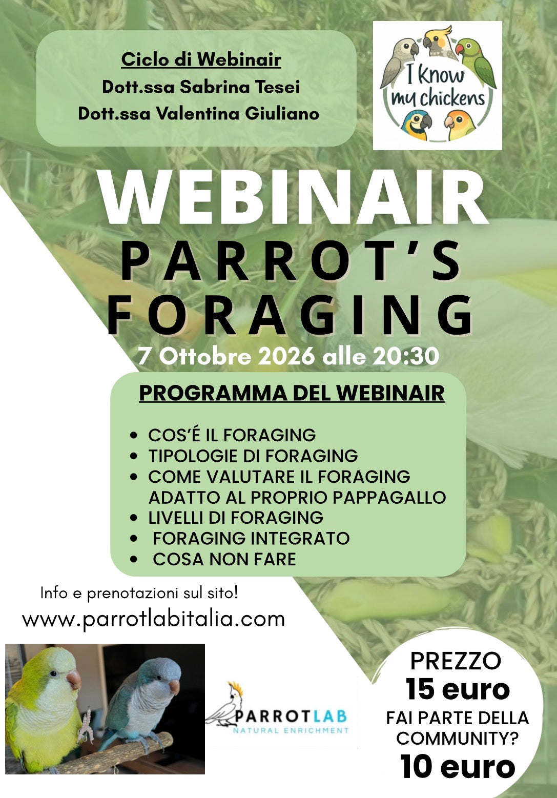 Webinair - Parrot's foraging