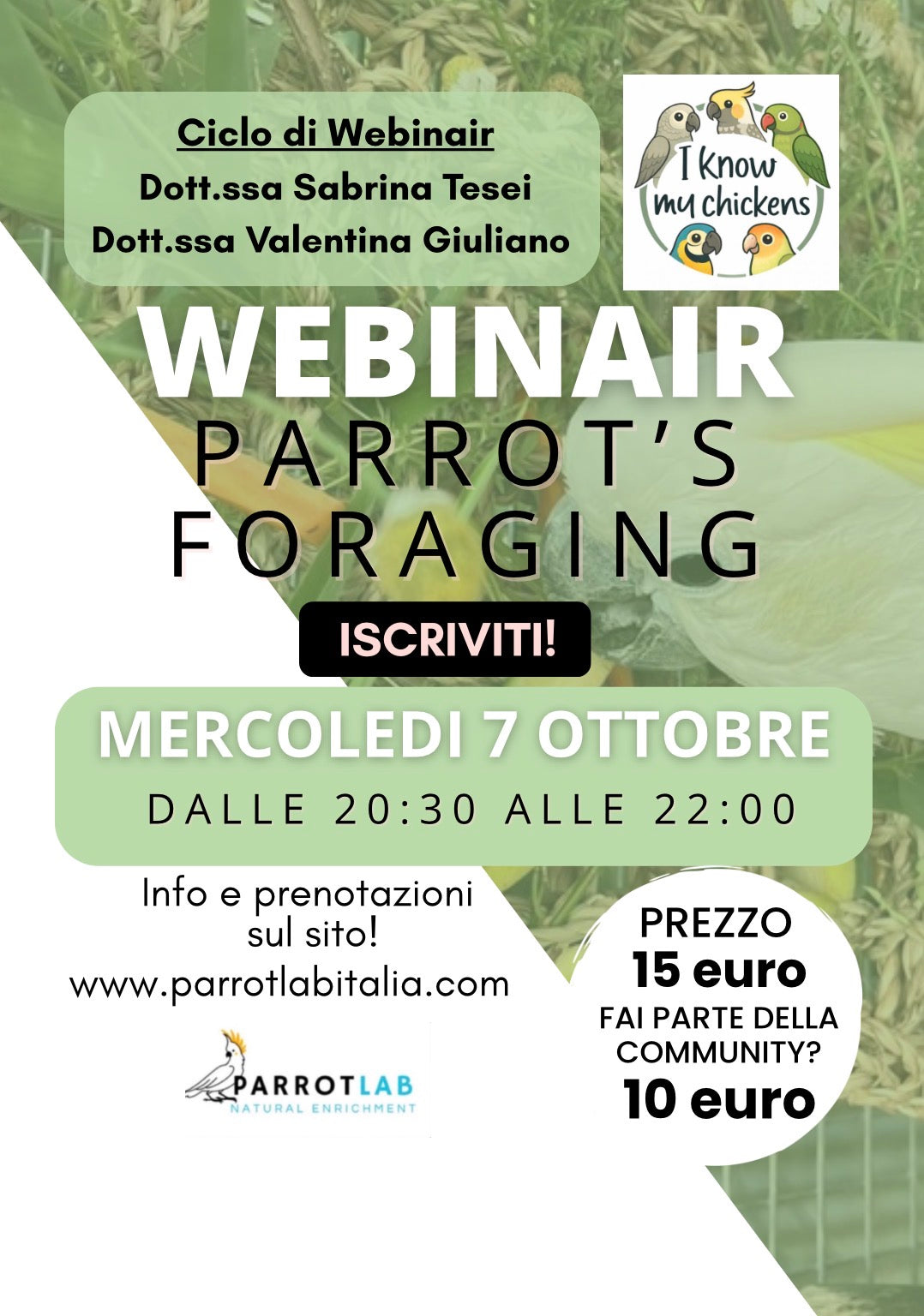 Webinair - Parrot's foraging